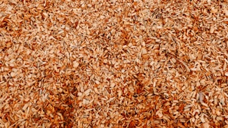 A close-up view of a large pile of wood chips, highlighting the texture and variety in size and shape of the fragments. The chips are mostly light brown with hints of darker tones.