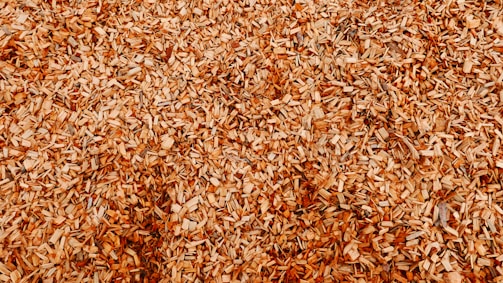 A close-up view of a large pile of wood chips, highlighting the texture and variety in size and shape of the fragments. The chips are mostly light brown with hints of darker tones.