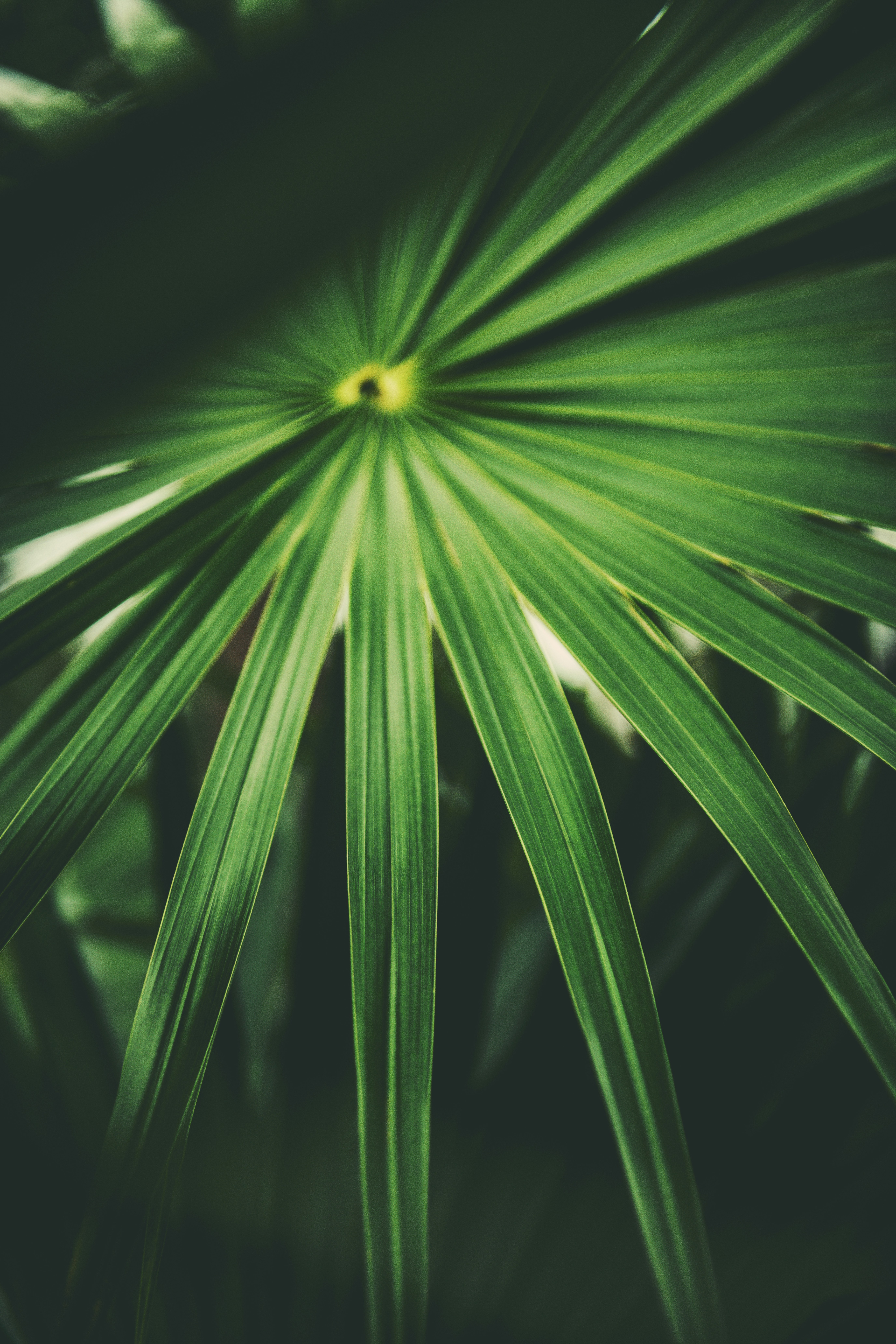 Photo by timmossholder