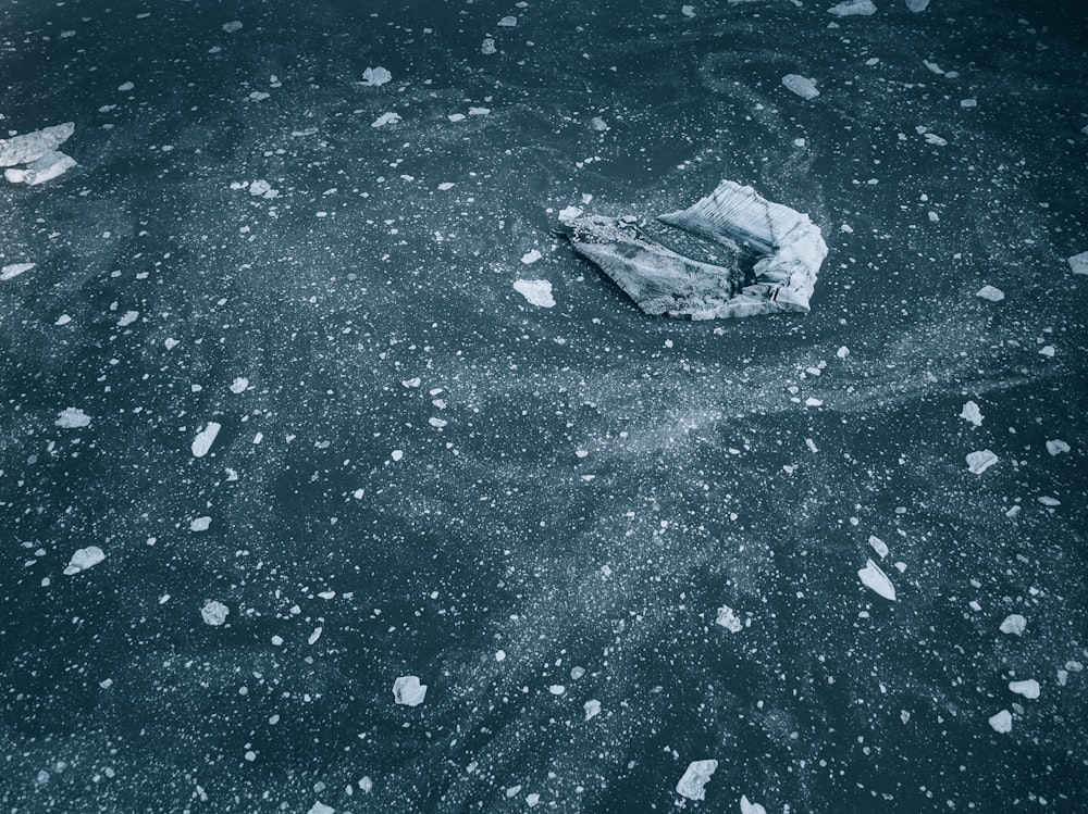 white plastic bag on black and white textile