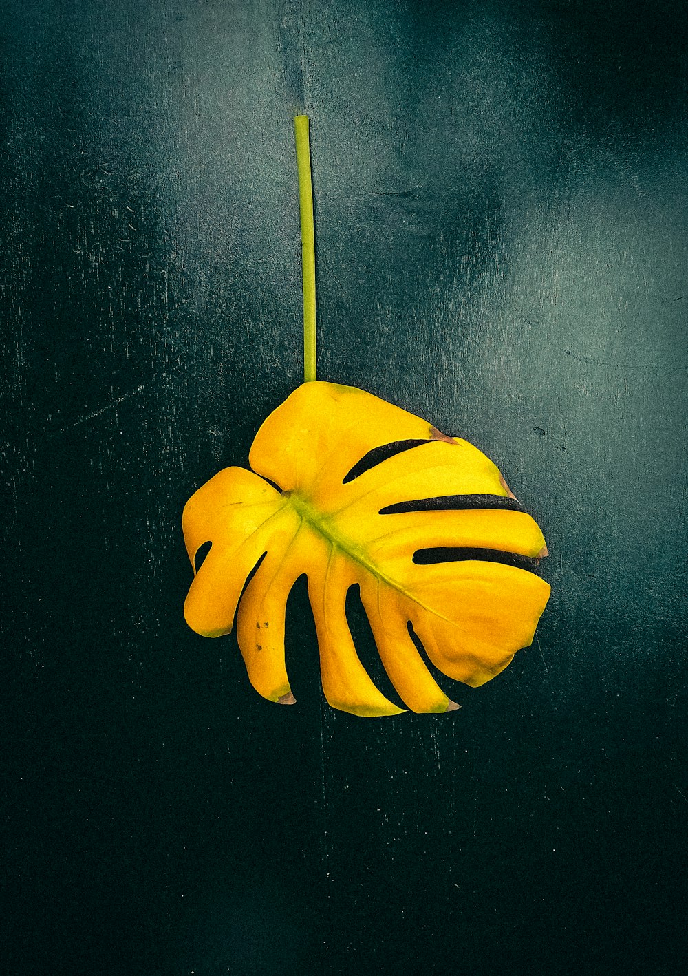 yellow banana fruit on black surface