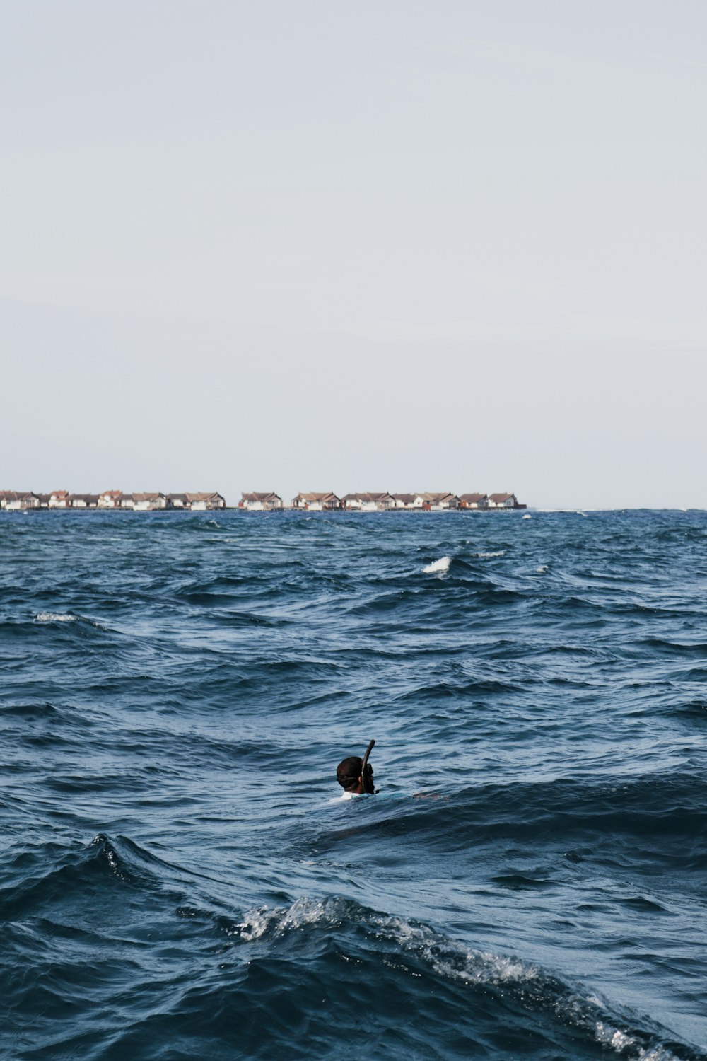 black duck on body of water during daytime