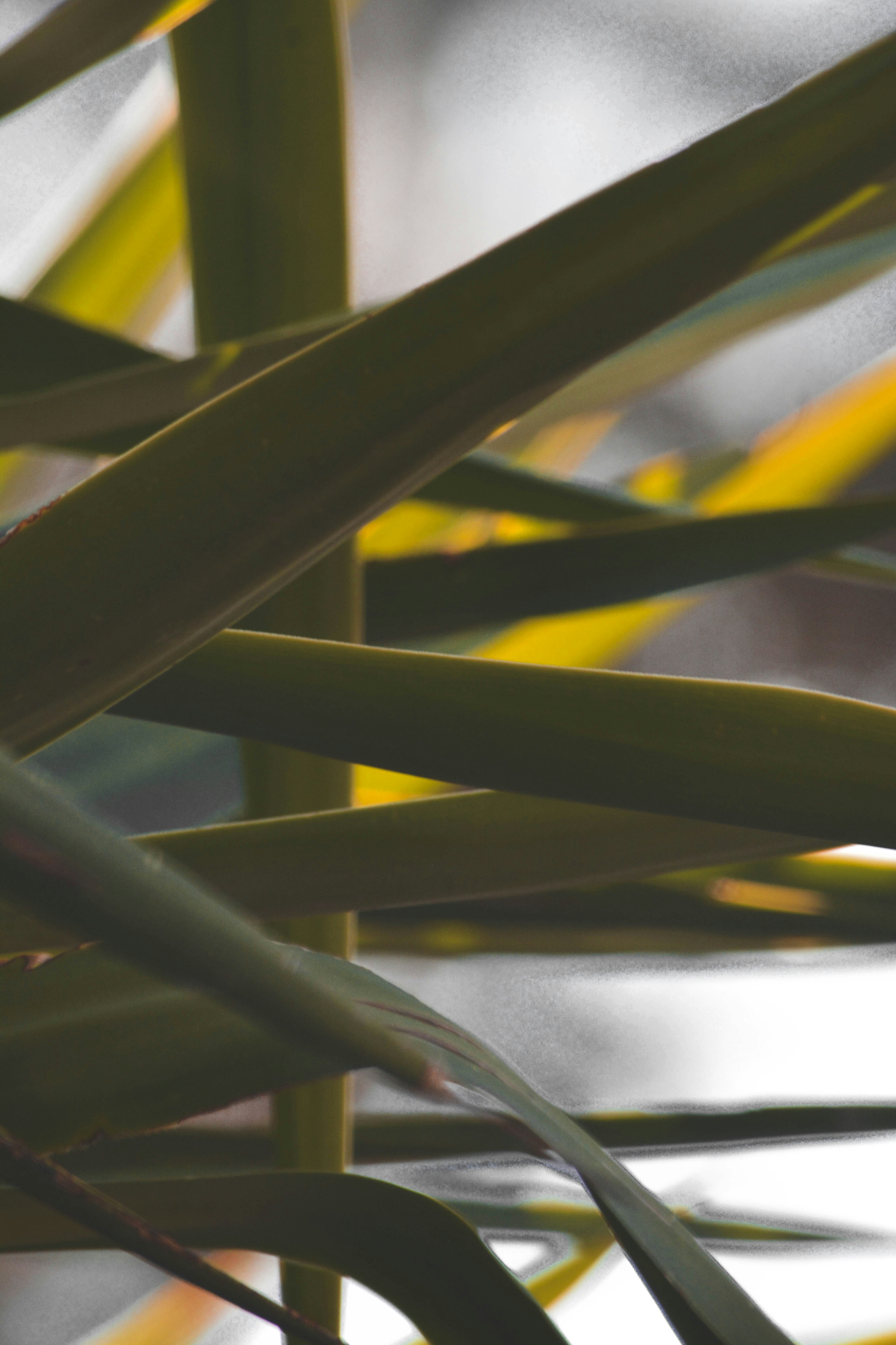 woman wearing yellow long-sleeved dress under white clouds and blue sky during daytime