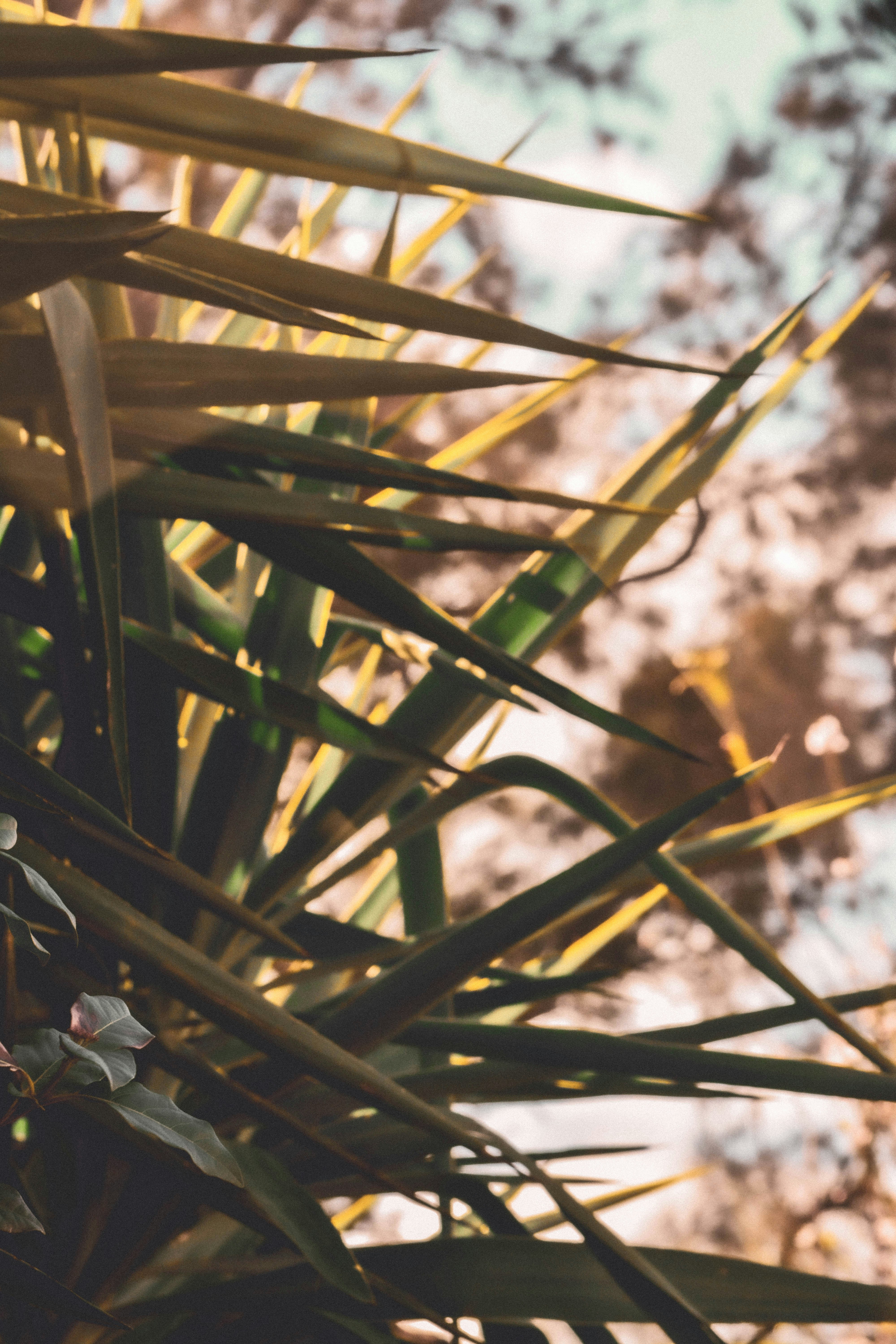 Photo by christinadera