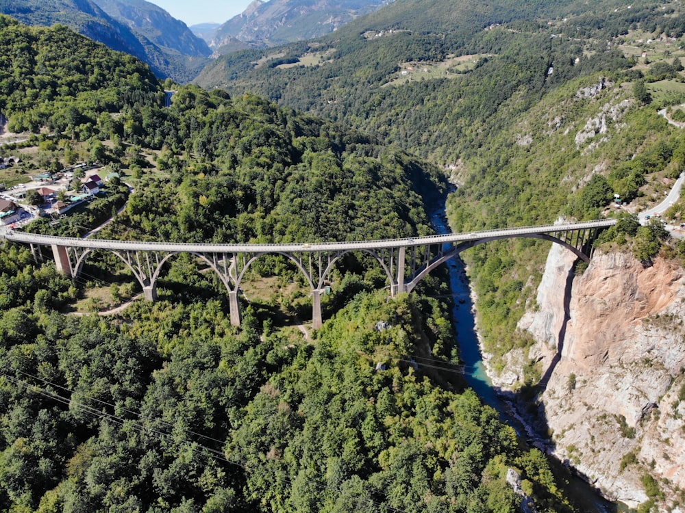 árvores verdes na montanha durante o dia