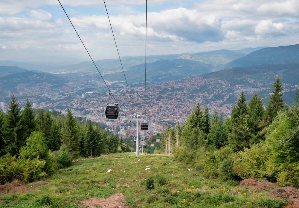 cable car over green trees during daytime
