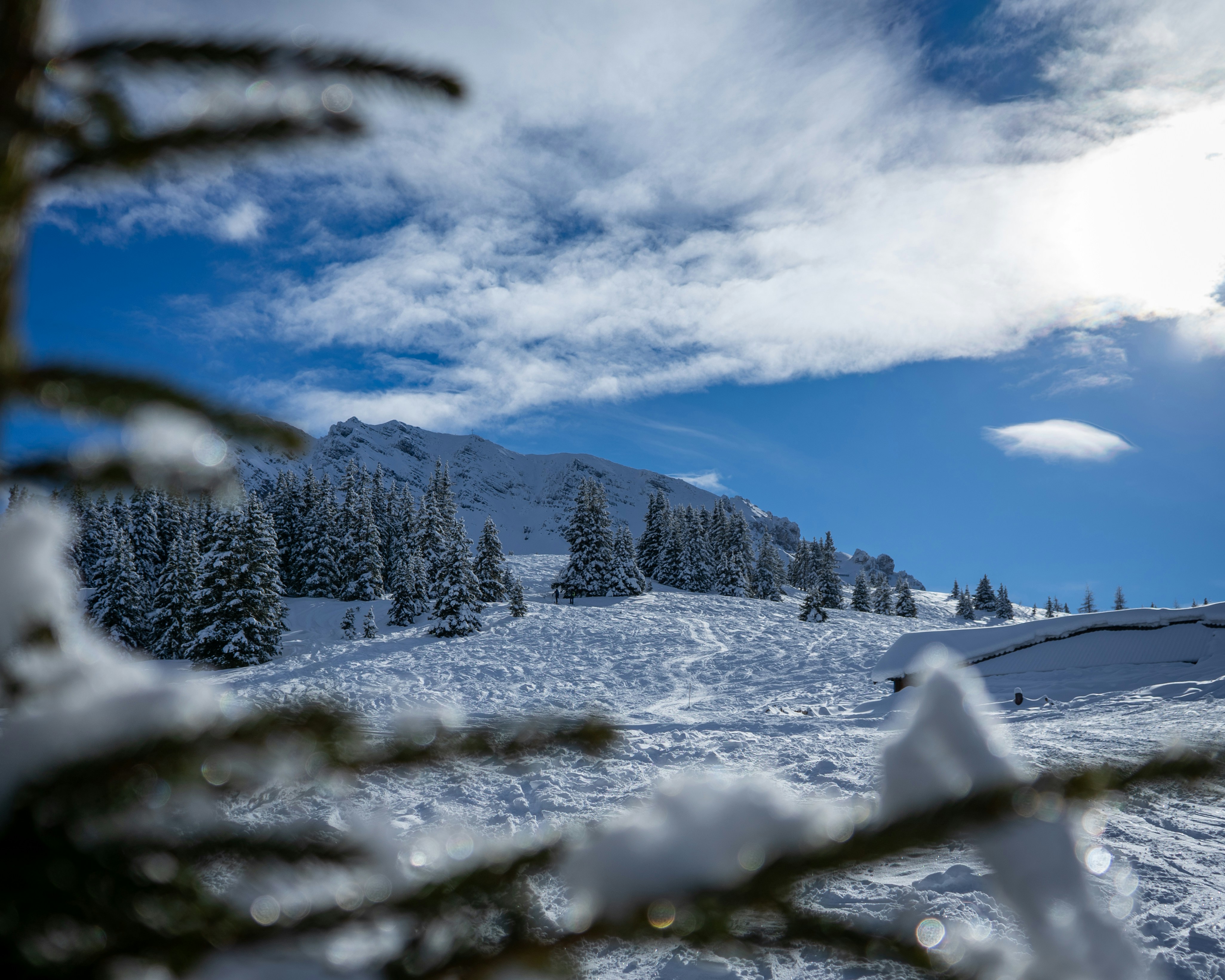 Photo by andreiamza2000