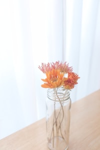 Flores Ornamentales