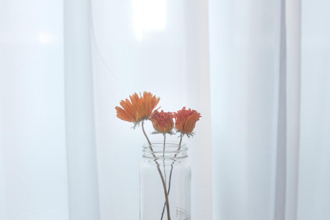 orange flower in clear glass vase