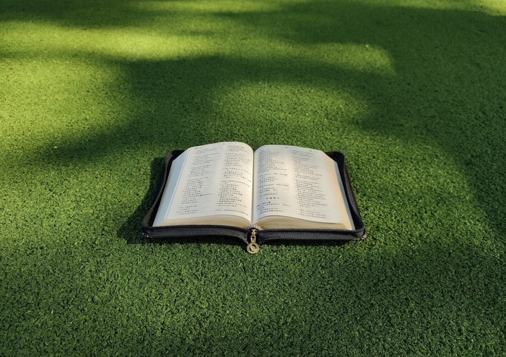 white book page on green grass