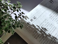 A close-up view of an open book with text in Chinese. Natural light casts shadows from a nearby plant onto the page, creating an effect of intertwining text and shadowed leaves. The plant in the foreground has small, round green leaves.