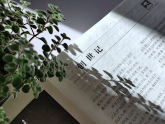 A close-up view of an open book with text in Chinese. Natural light casts shadows from a nearby plant onto the page, creating an effect of intertwining text and shadowed leaves. The plant in the foreground has small, round green leaves.