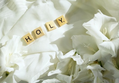 Four Scrabble tiles spelling the word 'holy' are placed on a soft white fabric surrounded by white flowers.