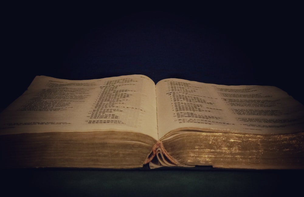 opened book on brown wooden table