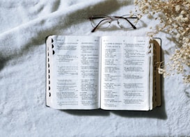 An open bilingual book with text in two languages, possibly English and Chinese, lies on a soft white surface. A pair of glasses rests above the book, and to the right, there is a sprig of small white dried flowers.
