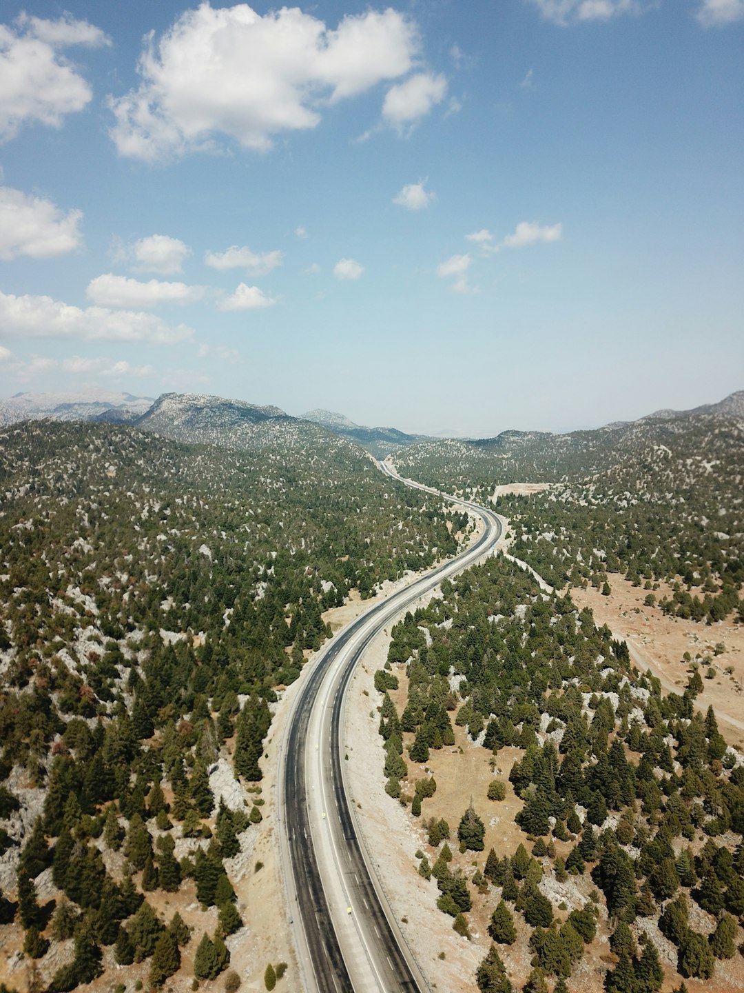 aerial view of road between trees during daytime