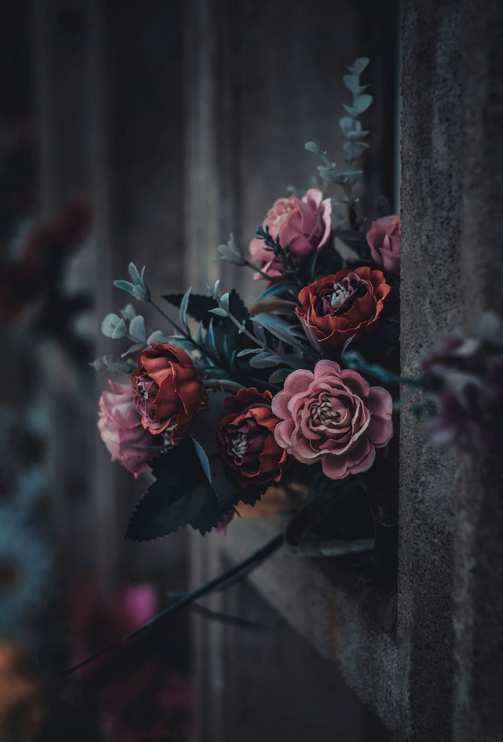rose rosse in fiore durante il giorno