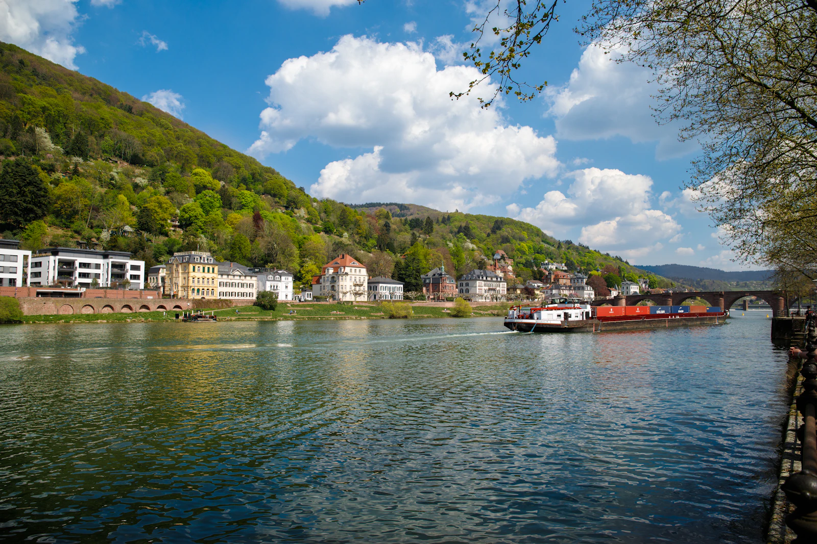 Neckar River Cruise from Heidelberg to Neckarsteinach with Drinks