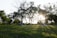 A serene park setting with groups of people sitting on the grass, enjoying the late afternoon sun. The sunlight filters through the trees, creating long shadows on the ground. In the background, a building partially obscured by the foliage can be seen.