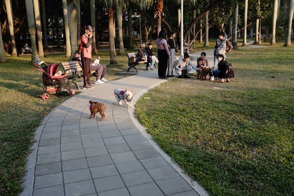 people sitting on green grass field during daytime