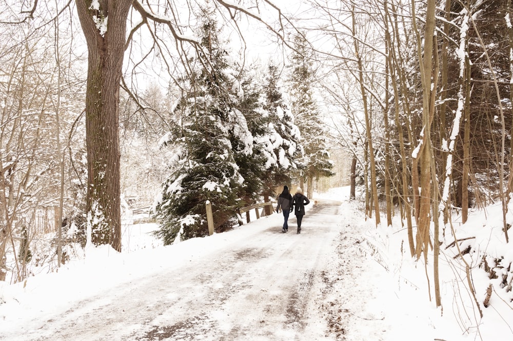 昼間、木々の間の雪道を歩く2人