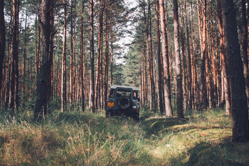 black suv in the middle of the forest during daytime