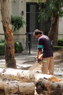 A man is operating a chainsaw to cut a fallen tree trunk. He is wearing a dark shirt with blue and green accents and beige pants. The setting appears to be outdoors, possibly in a park or a yard with several trees and some foliage. In the background, there is a gated area and a building with a visible door. The scene indicates the task of removing or processing fallen trees.