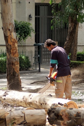 A man is operating a chainsaw to cut a fallen tree trunk. He is wearing a dark shirt with blue and green accents and beige pants. The setting appears to be outdoors, possibly in a park or a yard with several trees and some foliage. In the background, there is a gated area and a building with a visible door. The scene indicates the task of removing or processing fallen trees.