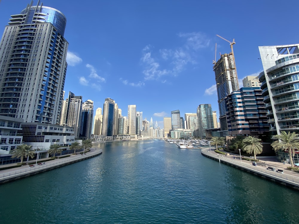 city skyline under blue sky during daytime