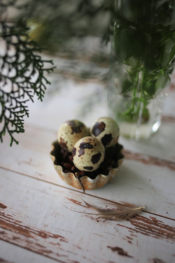 White and brown round ornament