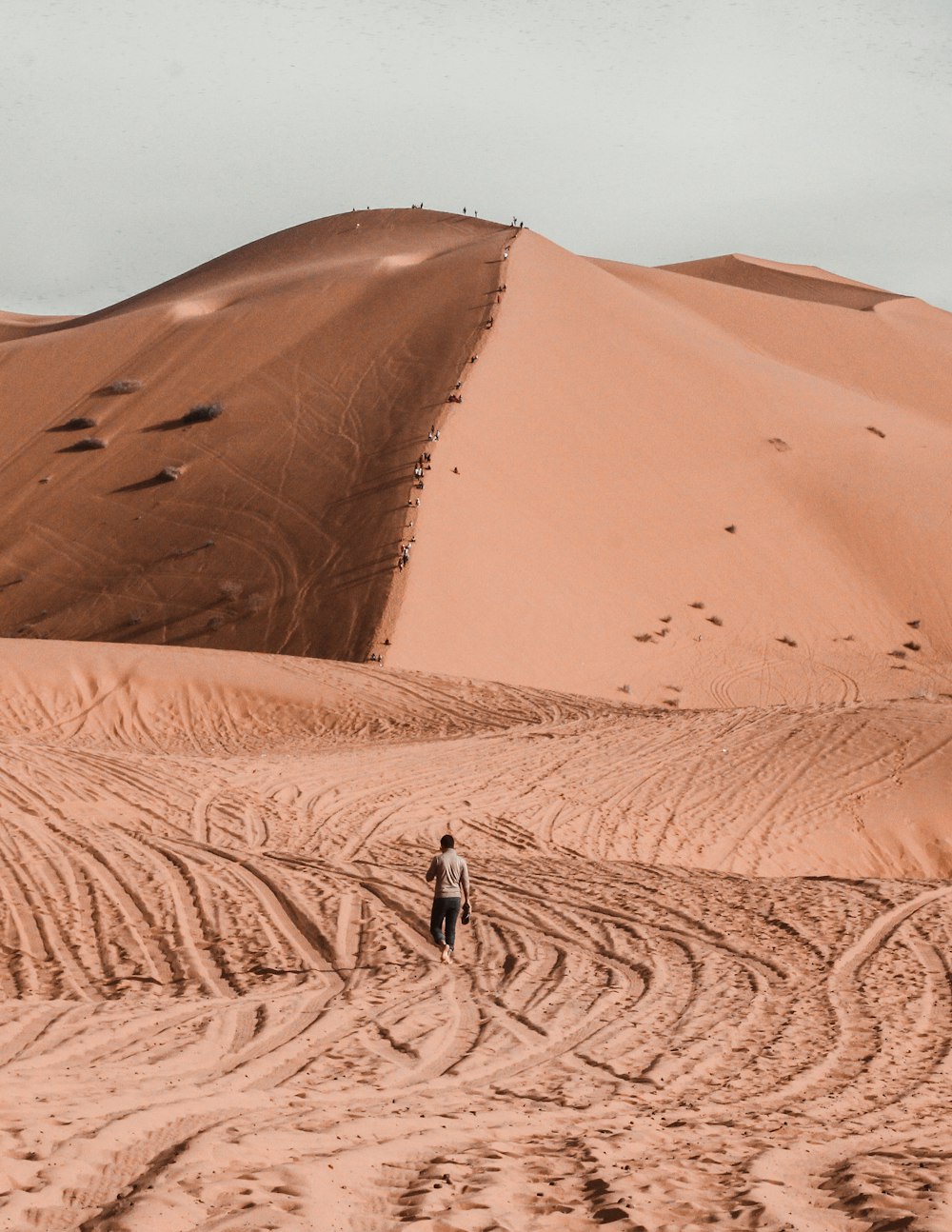 persona con chaqueta negra caminando en el desierto durante el día