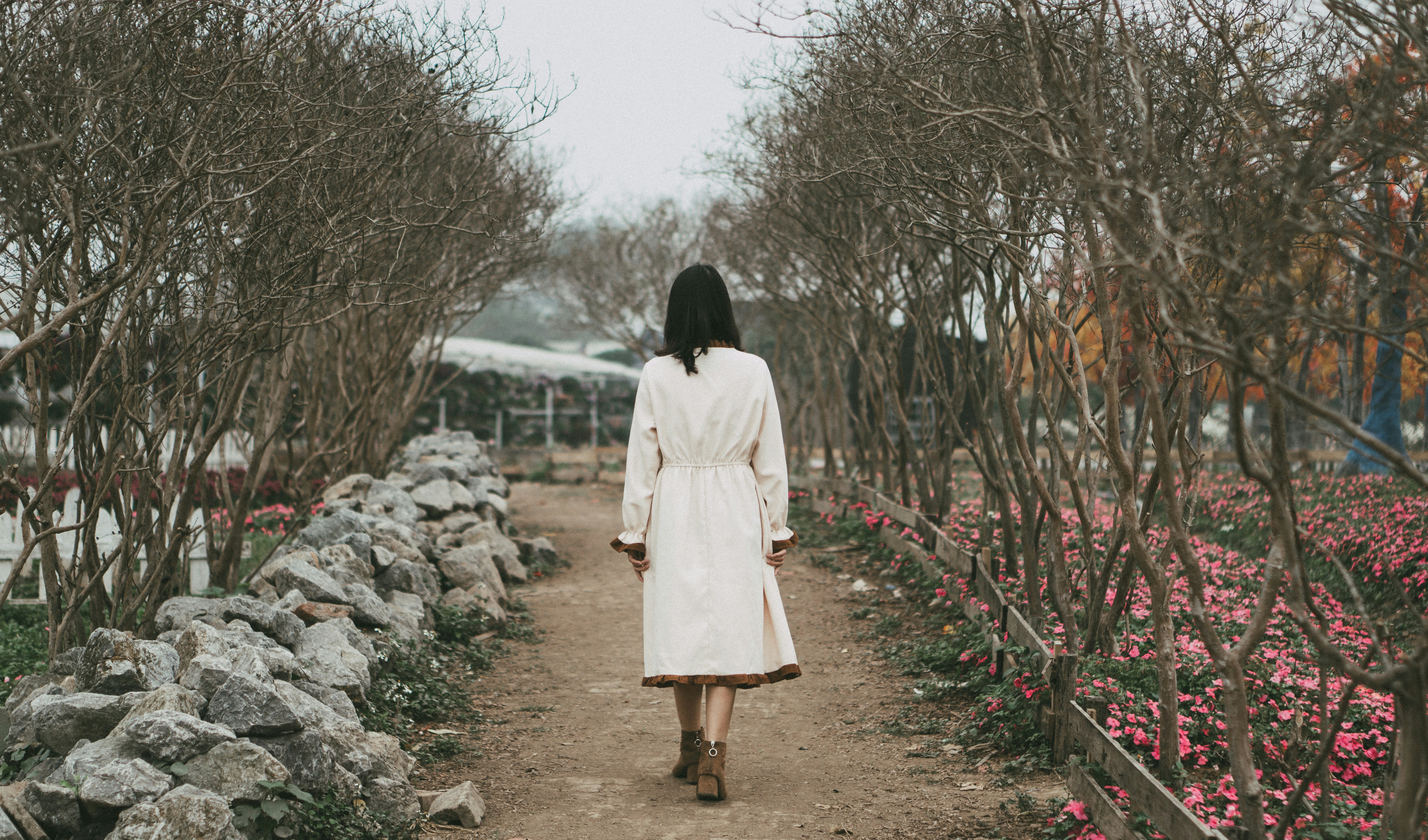 Photo by tienvn3012