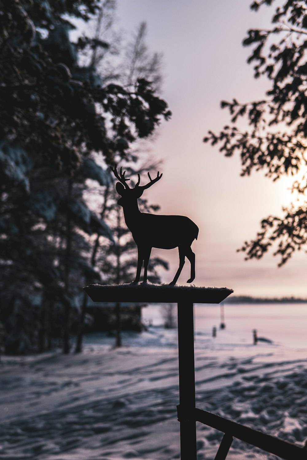 deer standing on blue wooden stand near body of water during daytime