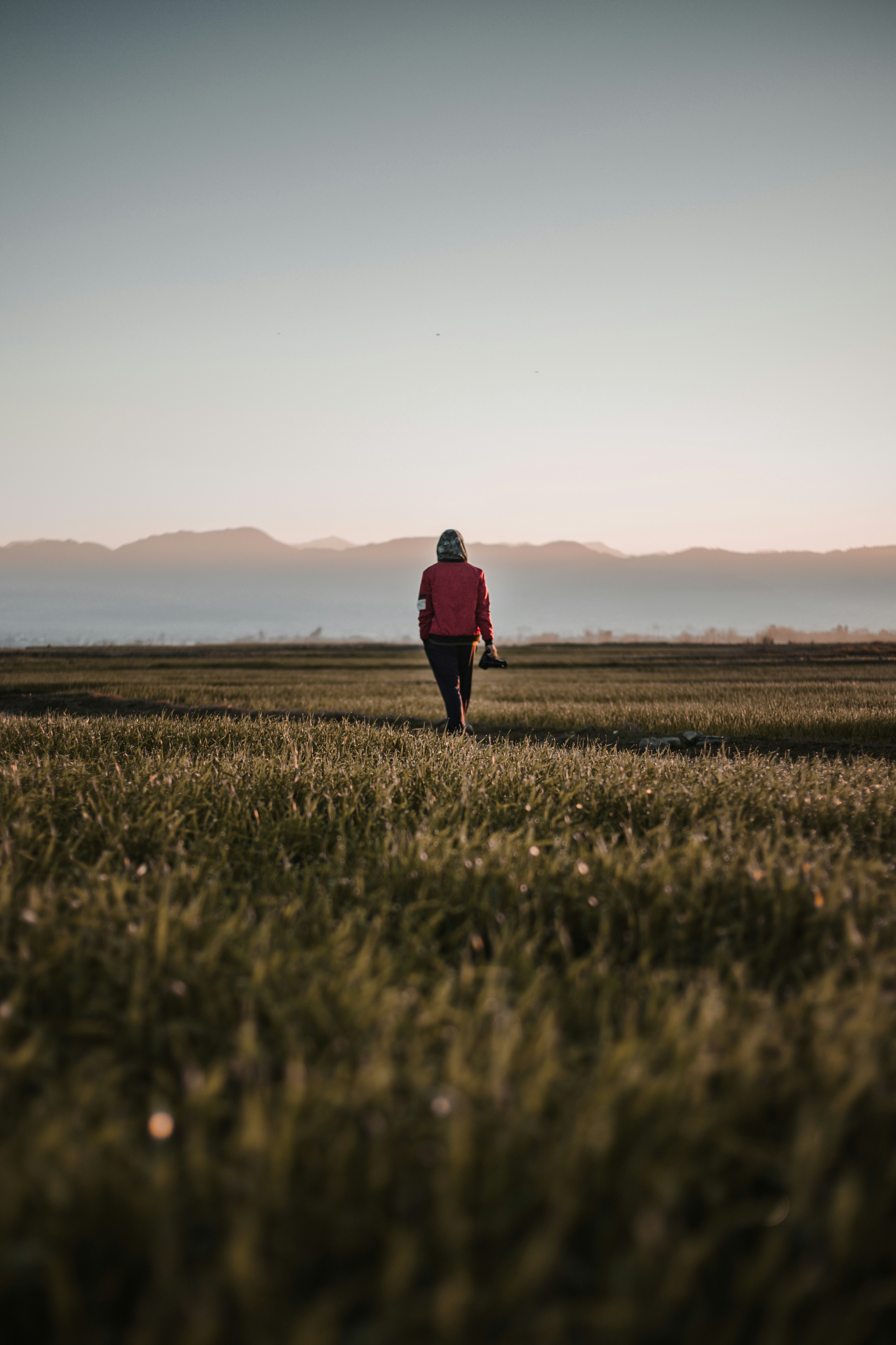 Photo by muhammad_shaheer