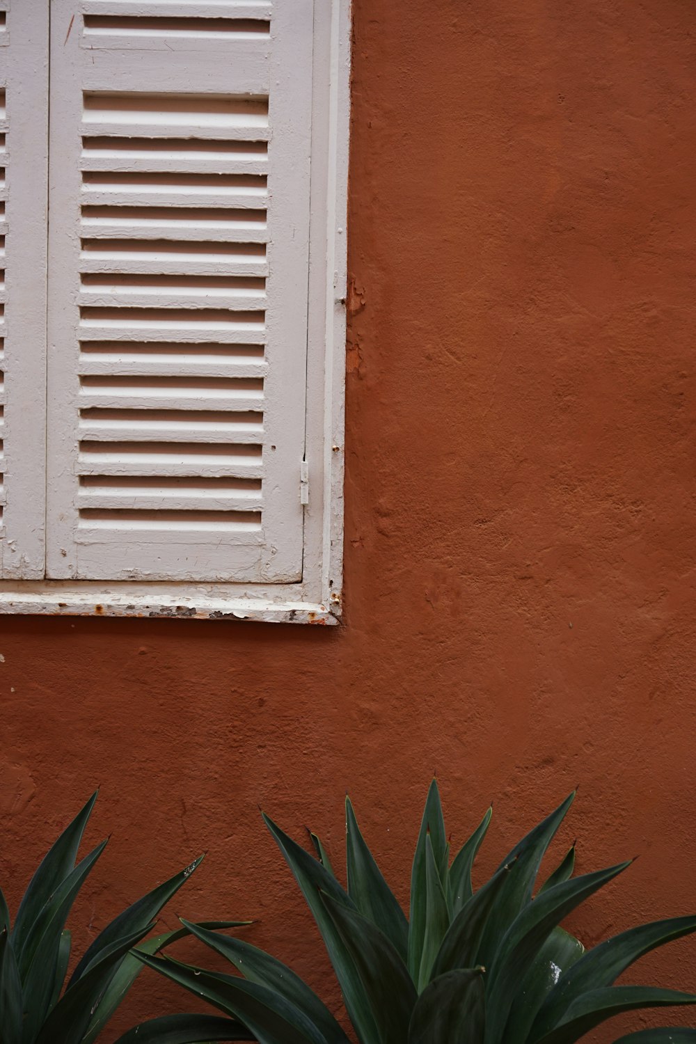 blue wooden window frame on orange concrete wall