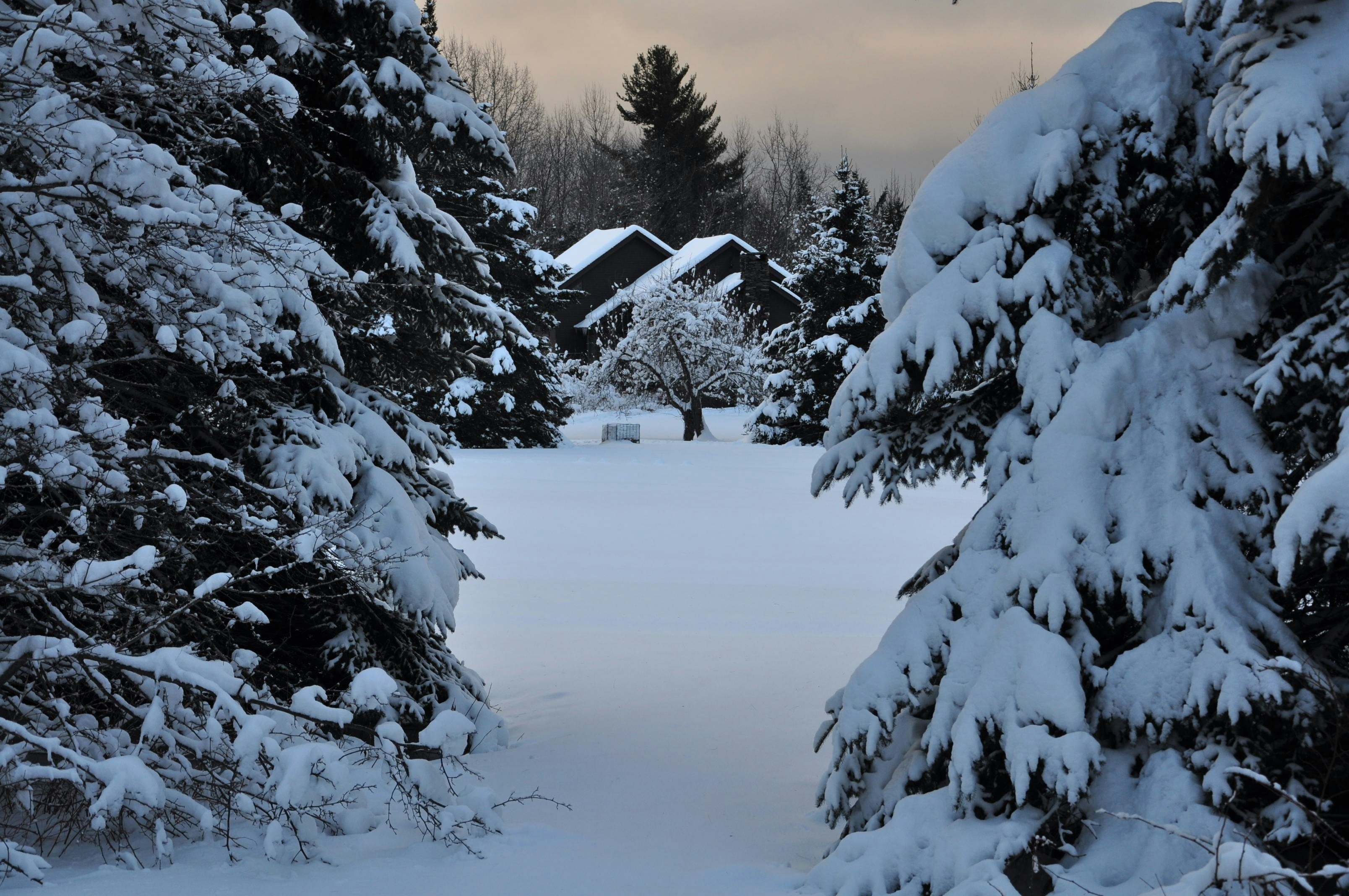 Photo by katschmokel