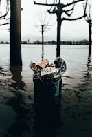 A trash bin is partially submerged in floodwaters, containing various pieces of litter such as cups and cartons. Leafless trees stand in the background with a view of a distant town across the water under an overcast sky.