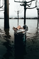 A trash bin is partially submerged in floodwaters, containing various pieces of litter such as cups and cartons. Leafless trees stand in the background with a view of a distant town across the water under an overcast sky.