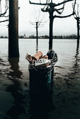 A trash bin is partially submerged in floodwaters, containing various pieces of litter such as cups and cartons. Leafless trees stand in the background with a view of a distant town across the water under an overcast sky.