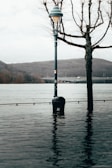 A street lamp and a leafless tree are partially submerged in water, indicating flooding. A river or large body of water is in the background, with hills and a bridge visible in the distance. The overall setting appears to be an urban area experiencing high water levels.