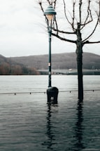 A street lamp and a leafless tree are partially submerged in water, indicating flooding. A river or large body of water is in the background, with hills and a bridge visible in the distance. The overall setting appears to be an urban area experiencing high water levels.