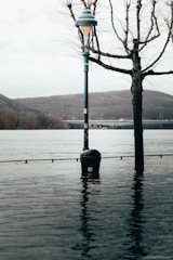 A street lamp and a leafless tree are partially submerged in water, indicating flooding. A river or large body of water is in the background, with hills and a bridge visible in the distance. The overall setting appears to be an urban area experiencing high water levels.