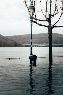 A street lamp and a leafless tree are partially submerged in water, indicating flooding. A river or large body of water is in the background, with hills and a bridge visible in the distance. The overall setting appears to be an urban area experiencing high water levels.