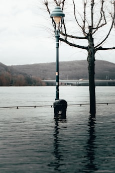 A street lamp and a leafless tree are partially submerged in water, indicating flooding. A river or large body of water is in the background, with hills and a bridge visible in the distance. The overall setting appears to be an urban area experiencing high water levels.