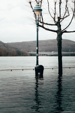 A street lamp and a leafless tree are partially submerged in water, indicating flooding. A river or large body of water is in the background, with hills and a bridge visible in the distance. The overall setting appears to be an urban area experiencing high water levels.