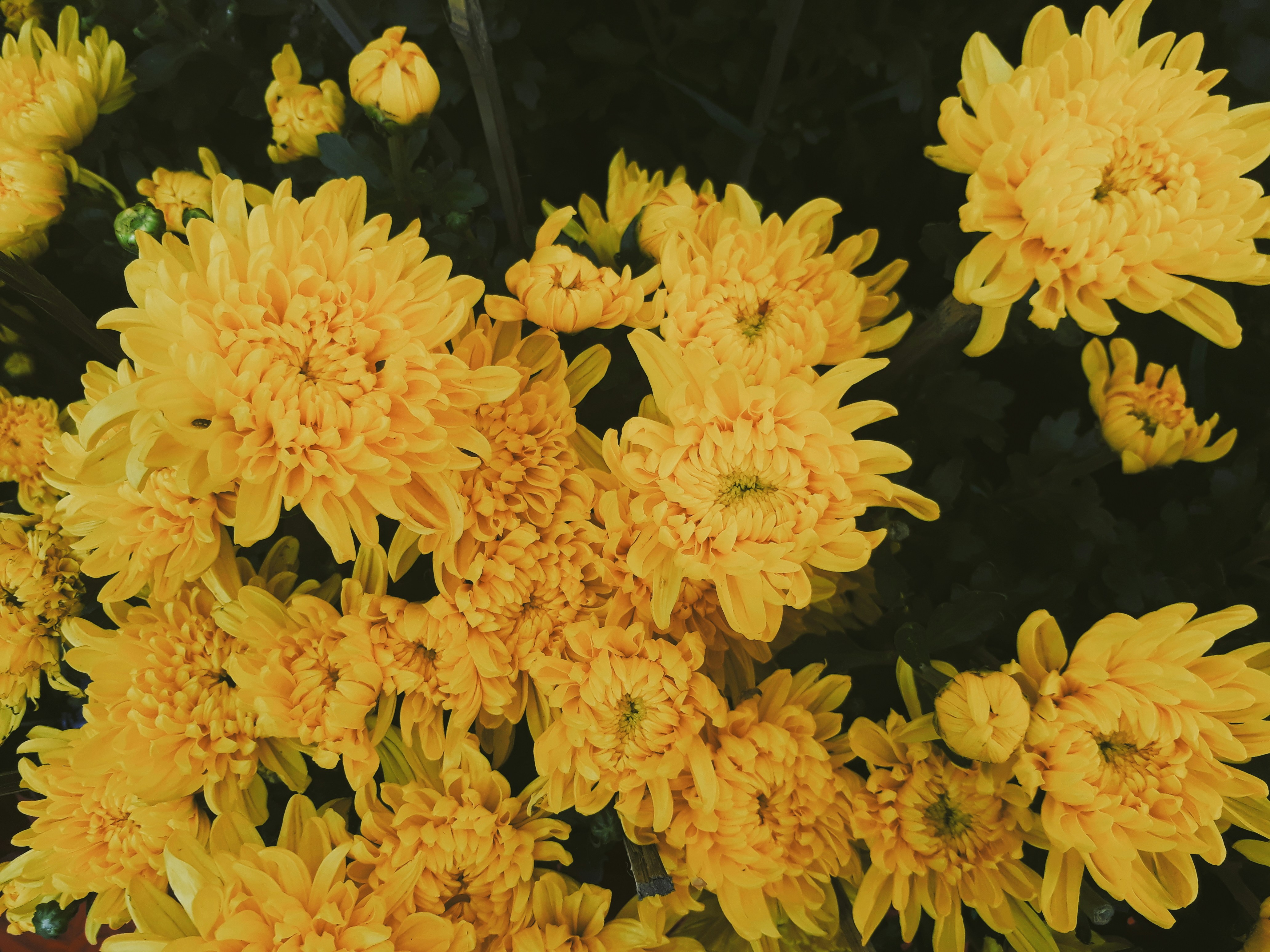 Photo by ht_hoaithu99