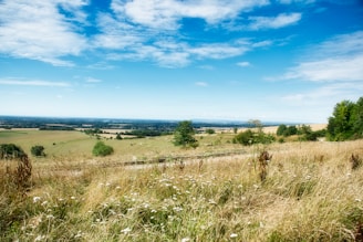 A scenic view of a sprawling Texas countryside with open fields under a bright blue sky.