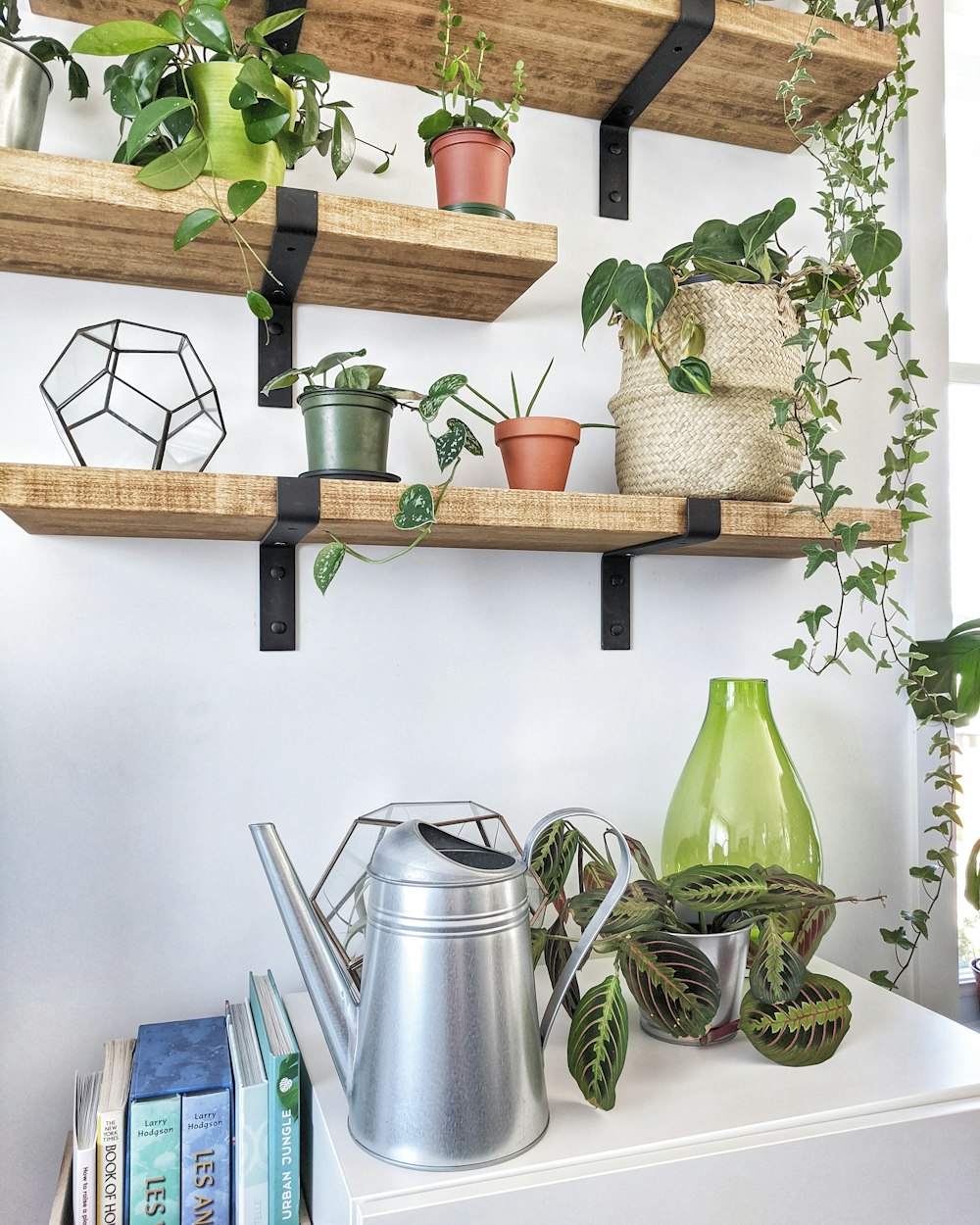 a shelf filled with potted plants and a watering can