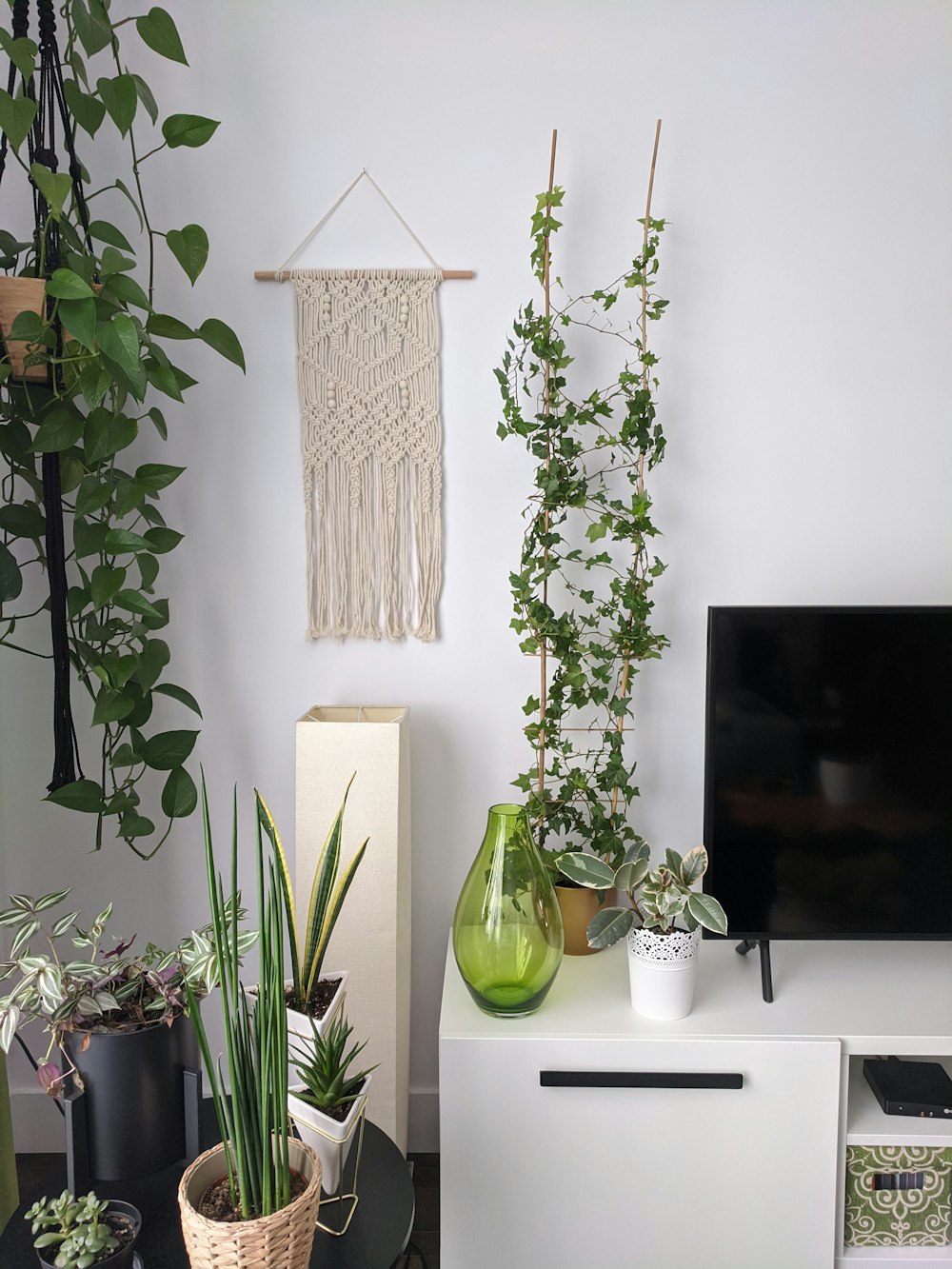 a living room with plants and a flat screen tv