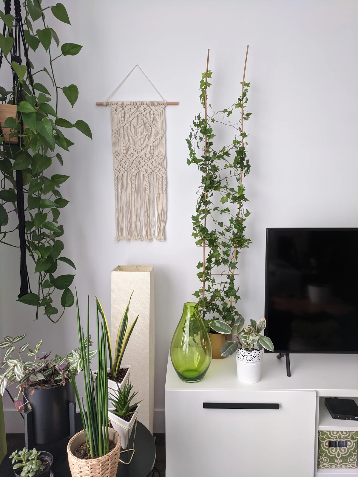 A living room of grouped potted plants — at scale, the collective transpiration of multiple plants meaningfully raises local humidity